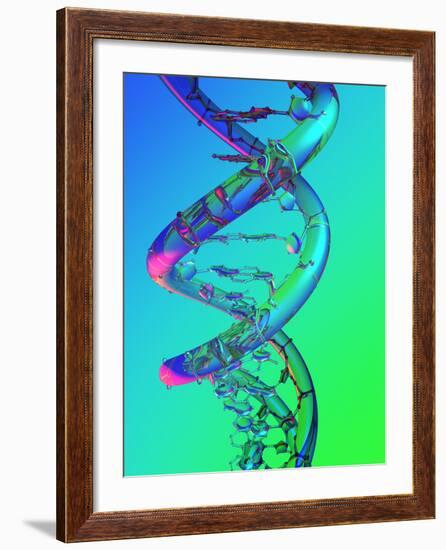 DNA Molecule-PASIEKA-Framed Photographic Print