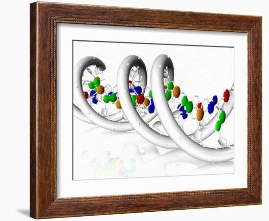 DNA Molecule-PASIEKA-Framed Photographic Print