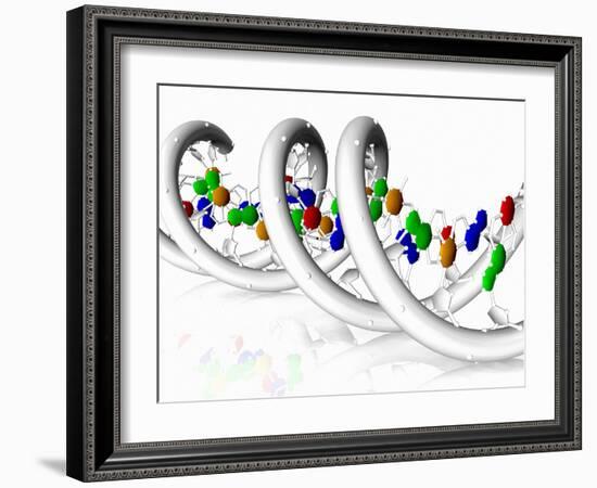 DNA Molecule-PASIEKA-Framed Photographic Print