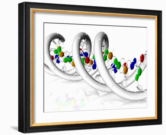 DNA Molecule-PASIEKA-Framed Photographic Print