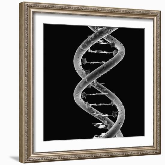 DNA Molecule-Mehau Kulyk-Framed Photographic Print