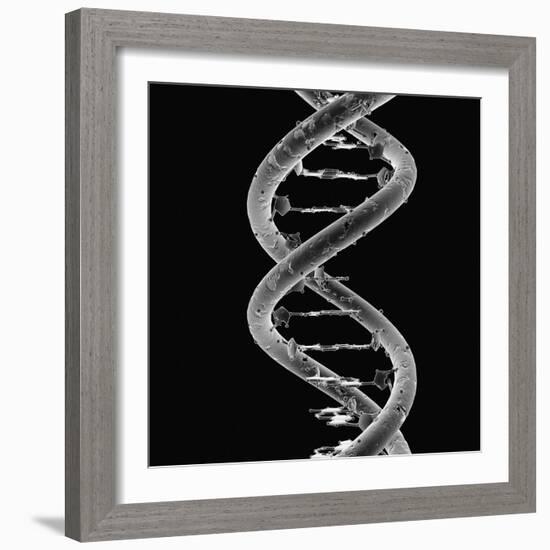 DNA Molecule-Mehau Kulyk-Framed Photographic Print