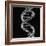 DNA Molecule-Mehau Kulyk-Framed Photographic Print