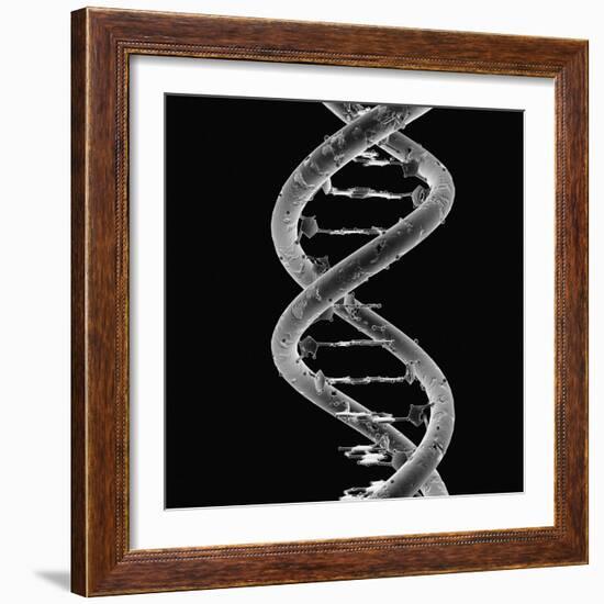 DNA Molecule-Mehau Kulyk-Framed Photographic Print