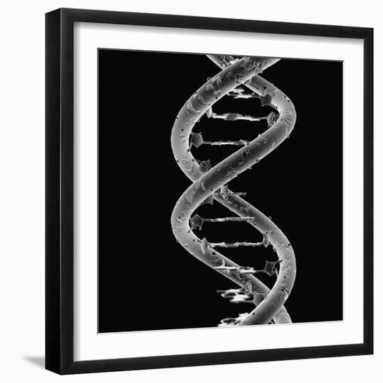 DNA Molecule-Mehau Kulyk-Framed Photographic Print