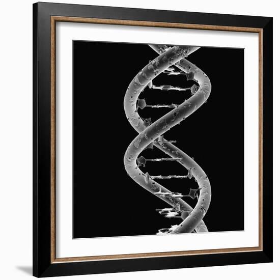 DNA Molecule-Mehau Kulyk-Framed Photographic Print