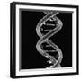 DNA Molecule-Mehau Kulyk-Framed Photographic Print