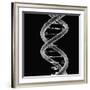DNA Molecule-Mehau Kulyk-Framed Photographic Print