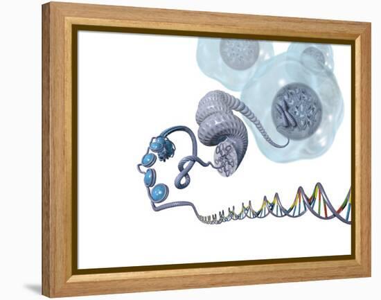 DNA Packaging, Artwork-Henning Dalhoff-Framed Premier Image Canvas