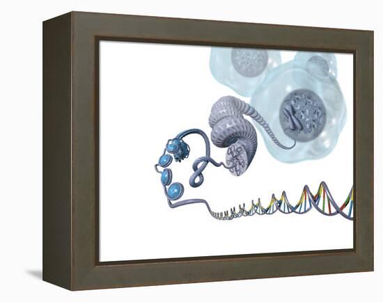 DNA Packaging, Artwork-Henning Dalhoff-Framed Premier Image Canvas