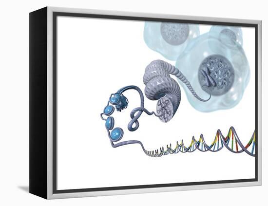 DNA Packaging, Artwork-Henning Dalhoff-Framed Premier Image Canvas