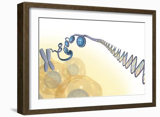 DNA Packaging, Artwork-Henning Dalhoff-Framed Photographic Print