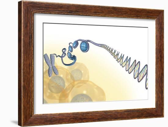 DNA Packaging, Artwork-Henning Dalhoff-Framed Photographic Print