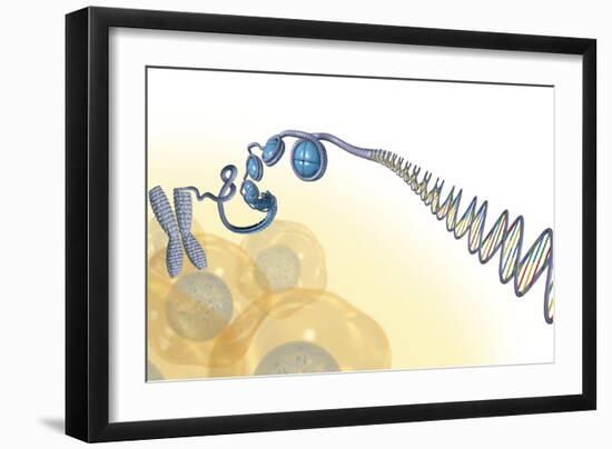 DNA Packaging, Artwork-Henning Dalhoff-Framed Photographic Print