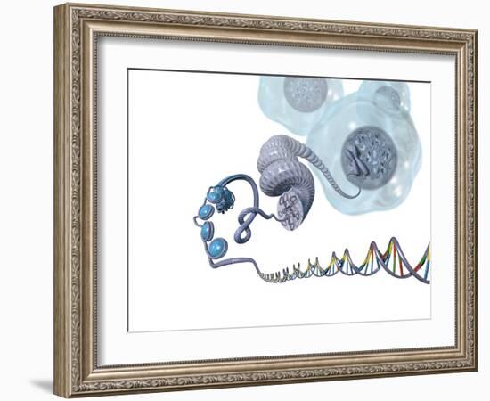 DNA Packaging, Artwork-Henning Dalhoff-Framed Photographic Print