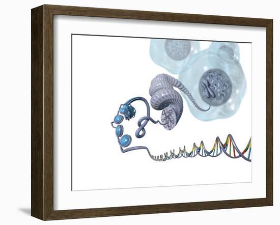 DNA Packaging, Artwork-Henning Dalhoff-Framed Photographic Print