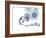 DNA Packaging, Artwork-Henning Dalhoff-Framed Photographic Print