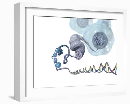 DNA Packaging, Artwork-Henning Dalhoff-Framed Photographic Print