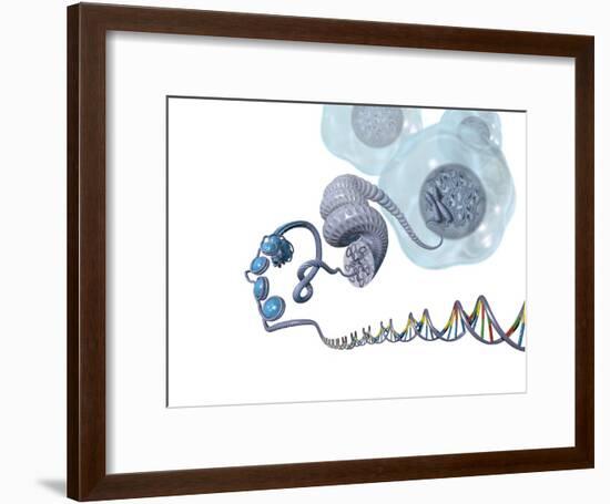 DNA Packaging, Artwork-Henning Dalhoff-Framed Photographic Print