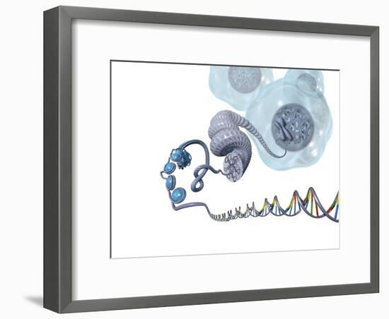 DNA Packaging, Artwork-Henning Dalhoff-Framed Photographic Print