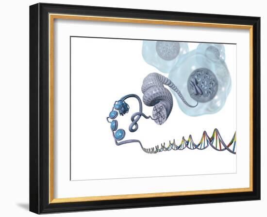 DNA Packaging, Artwork-Henning Dalhoff-Framed Photographic Print