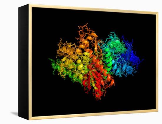 DNA Polymerase Klenow Fragment-Laguna Design-Framed Premier Image Canvas