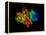 DNA Polymerase Klenow Fragment-Laguna Design-Framed Premier Image Canvas