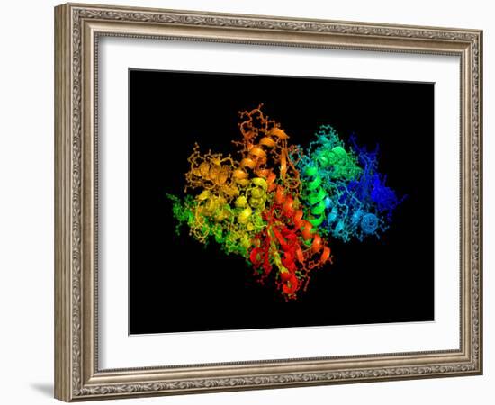 DNA Polymerase Klenow Fragment-Laguna Design-Framed Photographic Print