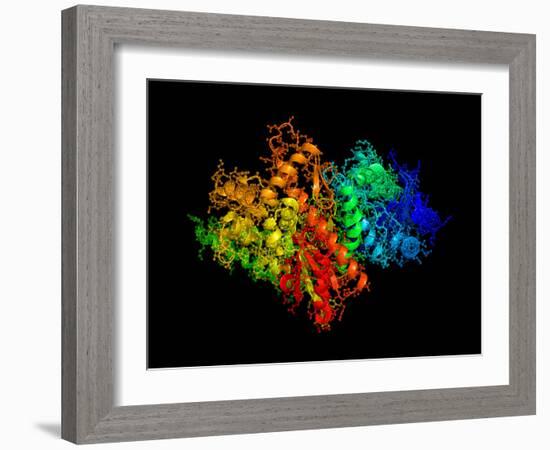 DNA Polymerase Klenow Fragment-Laguna Design-Framed Photographic Print