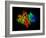 DNA Polymerase Klenow Fragment-Laguna Design-Framed Photographic Print