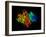 DNA Polymerase Klenow Fragment-Laguna Design-Framed Photographic Print