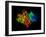 DNA Polymerase Klenow Fragment-Laguna Design-Framed Photographic Print