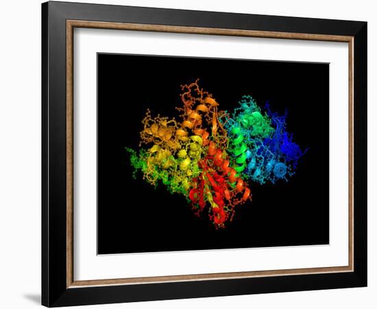 DNA Polymerase Klenow Fragment-Laguna Design-Framed Photographic Print