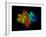 DNA Polymerase Klenow Fragment-Laguna Design-Framed Photographic Print