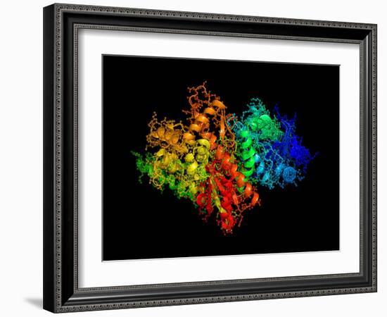 DNA Polymerase Klenow Fragment-Laguna Design-Framed Photographic Print