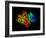 DNA Polymerase Klenow Fragment-Laguna Design-Framed Photographic Print