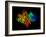 DNA Polymerase Klenow Fragment-Laguna Design-Framed Photographic Print