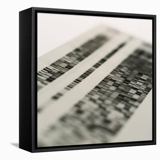 DNA Research-Tek Image-Framed Premier Image Canvas