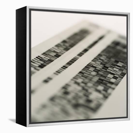 DNA Research-Tek Image-Framed Premier Image Canvas