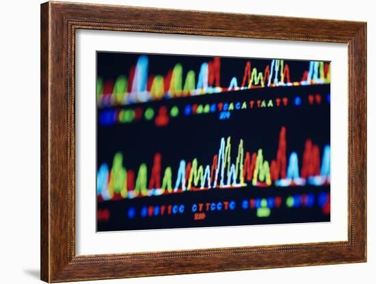 DNA Sequence-PASIEKA-Framed Photographic Print