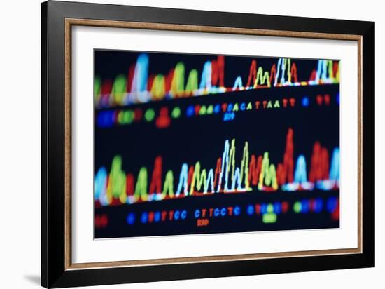 DNA Sequence-PASIEKA-Framed Photographic Print