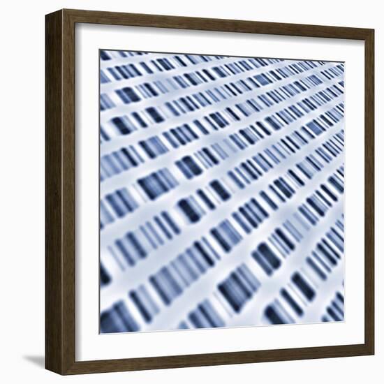 DNA Sequences-PASIEKA-Framed Premium Photographic Print