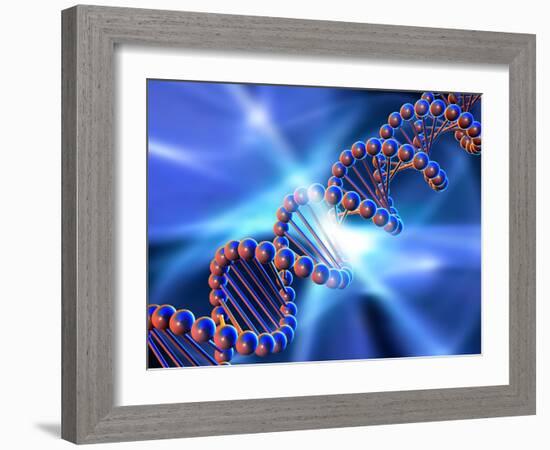 DNA Strand, Artwork-PASIEKA-Framed Photographic Print