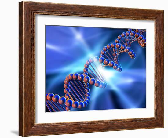 DNA Strand, Artwork-PASIEKA-Framed Photographic Print