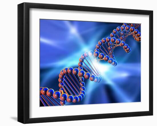 DNA Strand, Artwork-PASIEKA-Framed Photographic Print