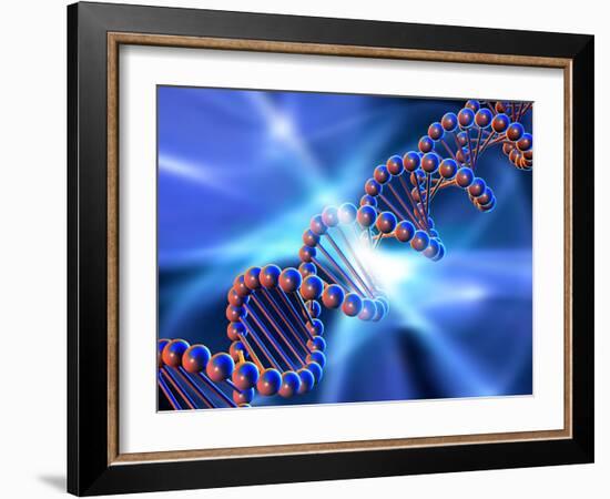 DNA Strand, Artwork-PASIEKA-Framed Photographic Print