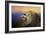 Do Lions Go to Heaven-Jai Johnson-Framed Giclee Print