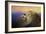 Do Lions Go to Heaven-Jai Johnson-Framed Giclee Print