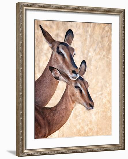 Do Not Worry, I'm Here-Mathilde Guillemot-Framed Photographic Print