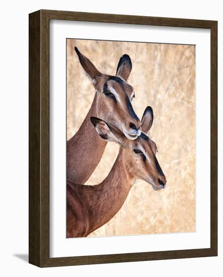 Do Not Worry, I'm Here-Mathilde Guillemot-Framed Photographic Print